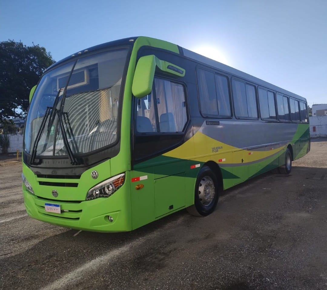 Ônibus Rodoviário Mascarello Roma 330 - foto 1