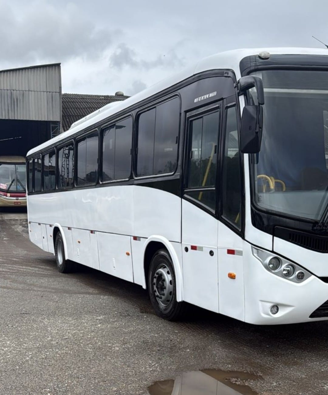Ônibus Rodoviário Marcopolo Ideale 770 - View 3
