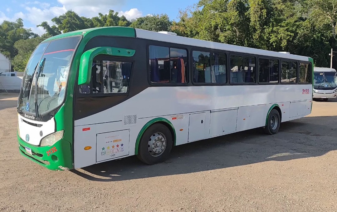 Ônibus Rodoviário Mascarello Roma 310 - foto 1