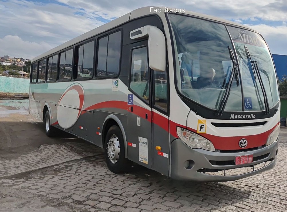 Ônibus Rodoviário Mascarello Roma 310 - View 4