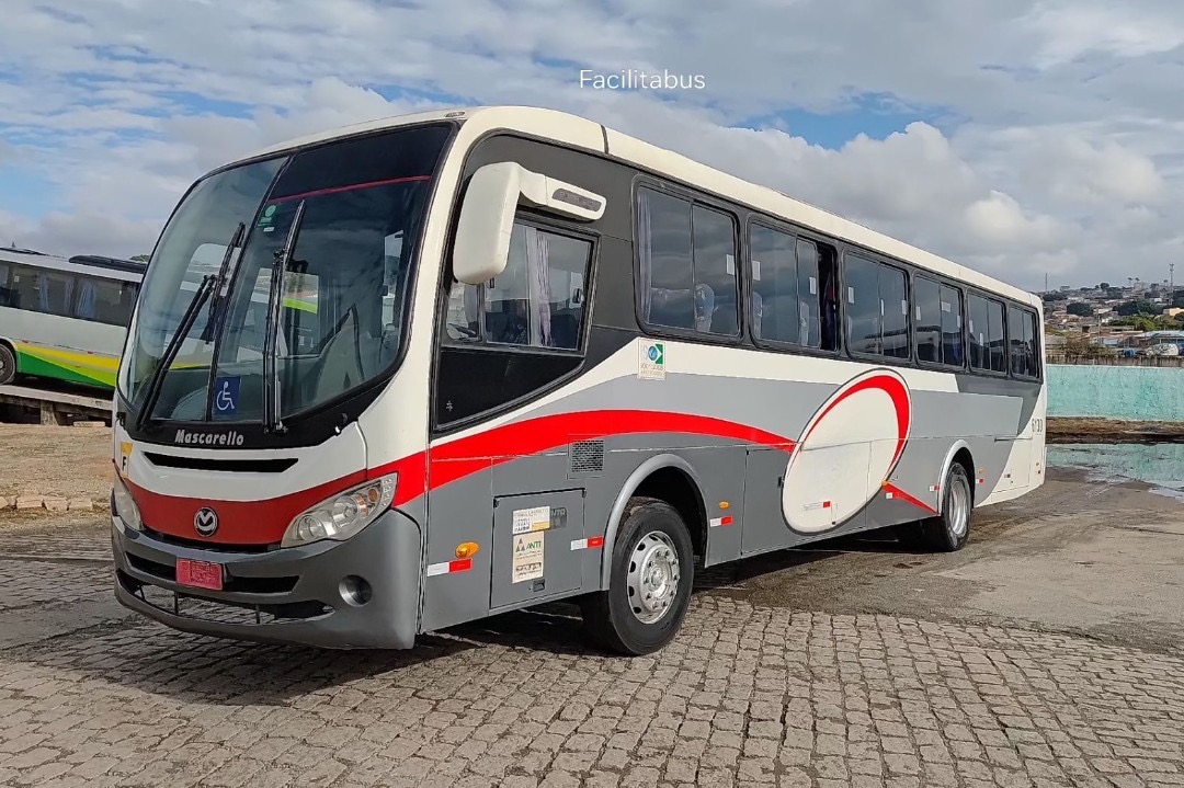 Ônibus Rodoviário Mascarello Roma 310 - foto 1