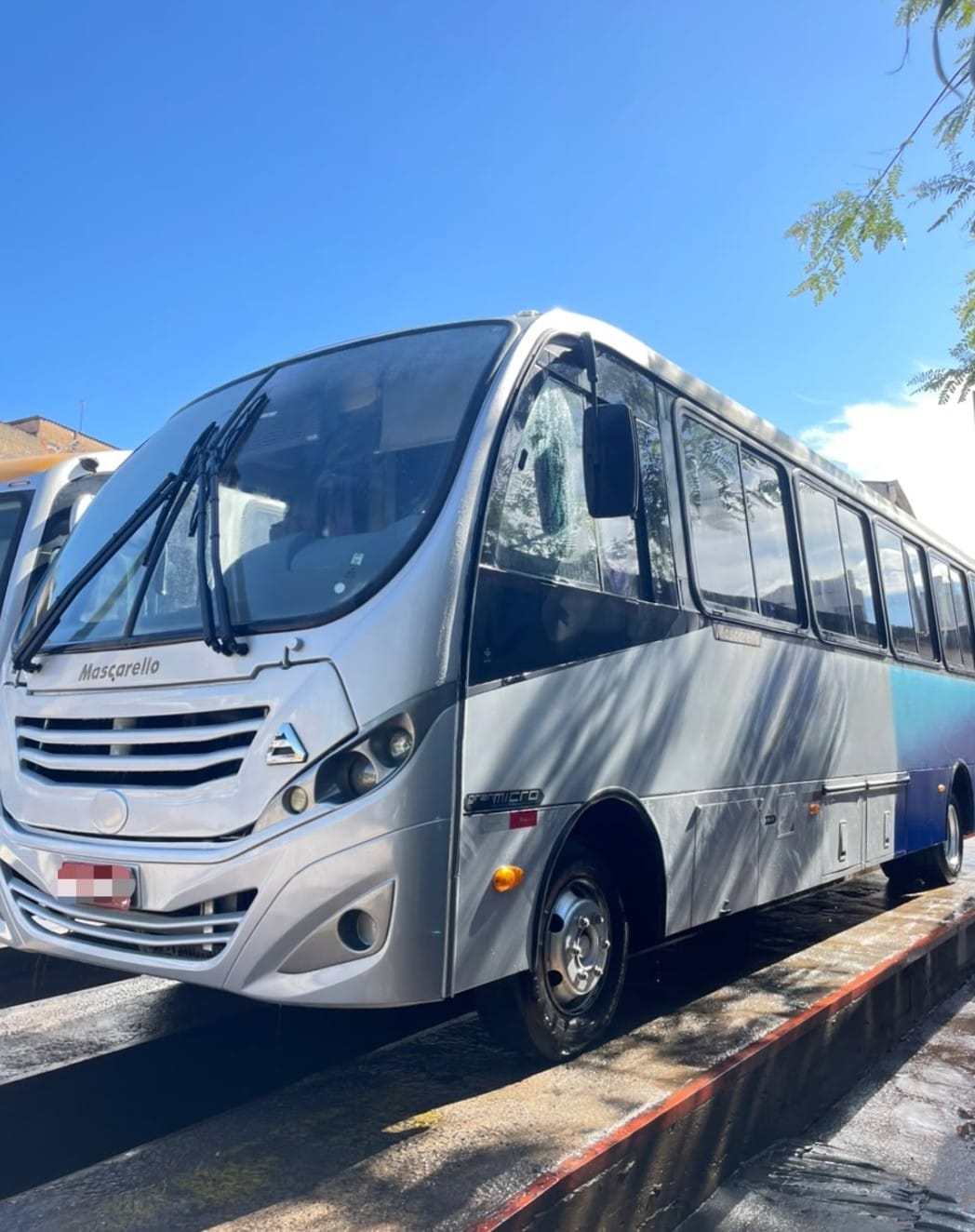 Micro ônibus Rodoviário  Mascarello Gran Micro - View 3