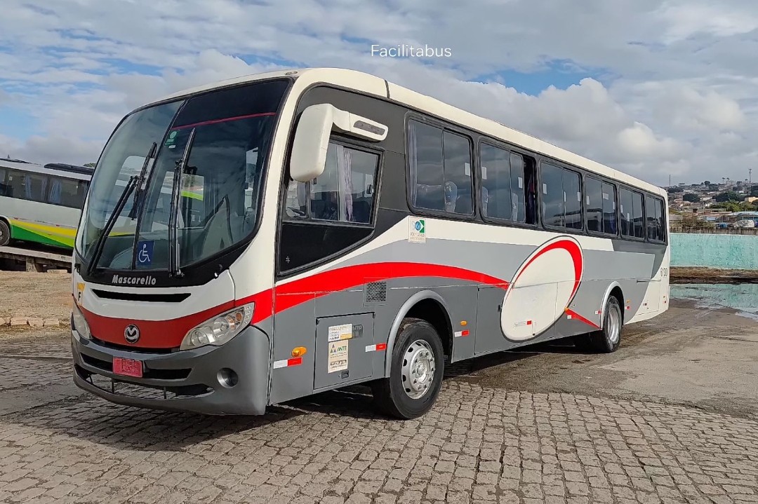 Ônibus Rodoviário Mascarello Roma MD - View 4