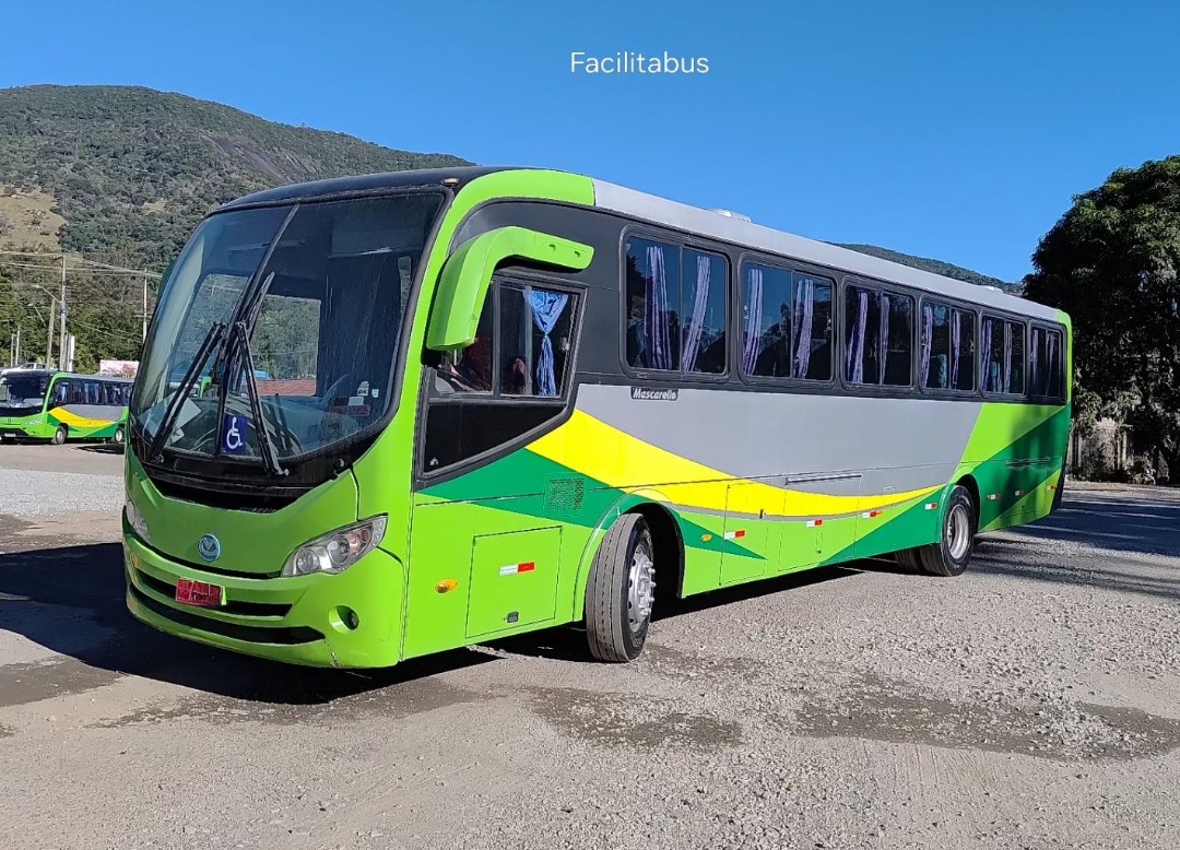 Ônibus Rodoviário Mascarello Roma 310 - View 8